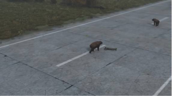 How to Survive the Stronger Bears in DayZ